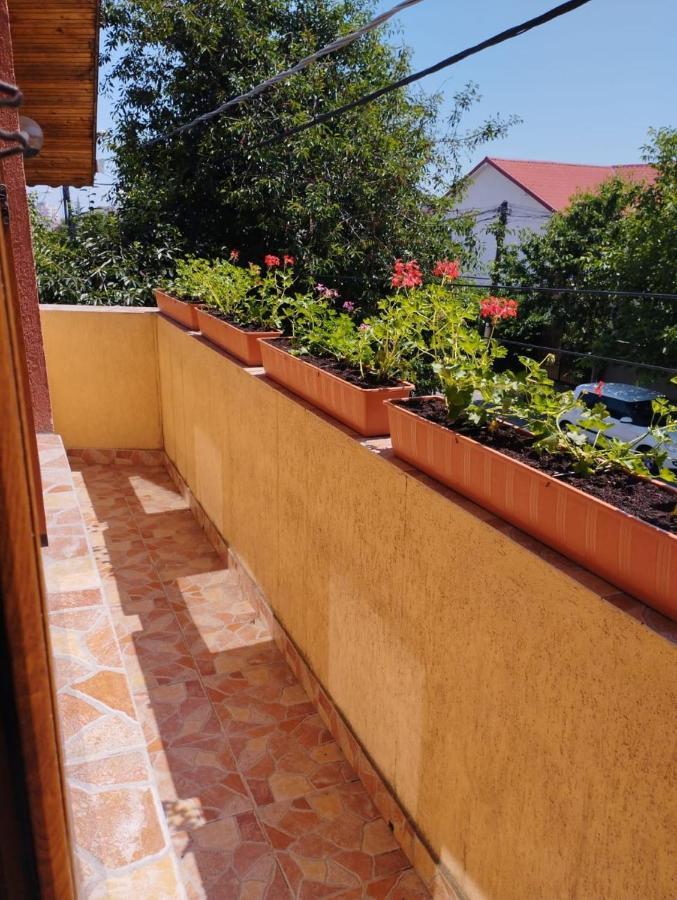Vila Florelena Năvodari Exterior foto